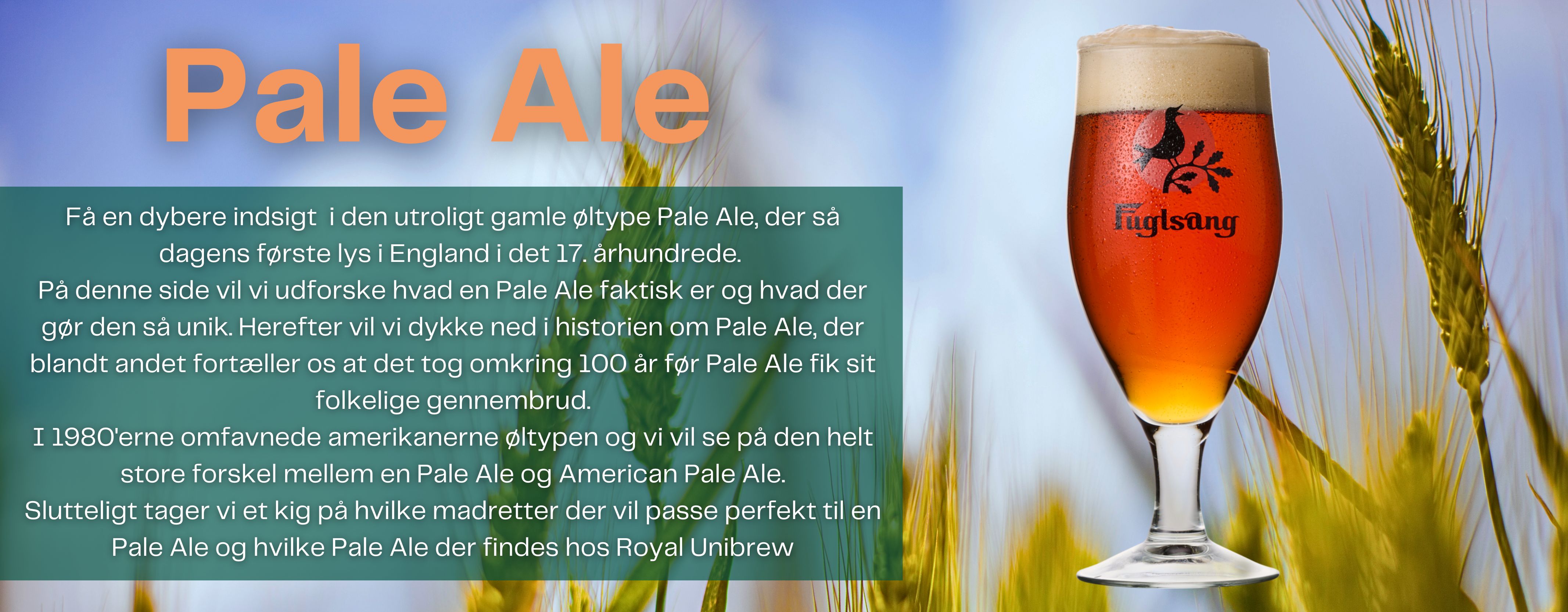 Blå himmel med byg som sløret baggrund, overskrift med Pale Ale til venstre, tekstfelt under, Pale Ale i glas til højre